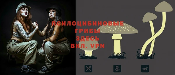 гидропоника Алексин