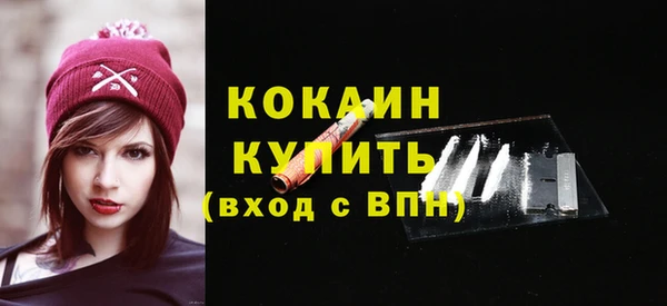 кокс Арсеньев